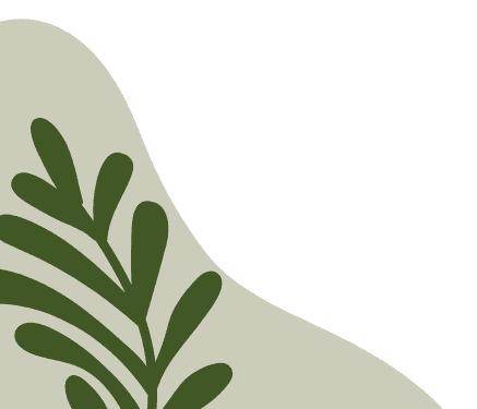 Đỗ Thảo Ny